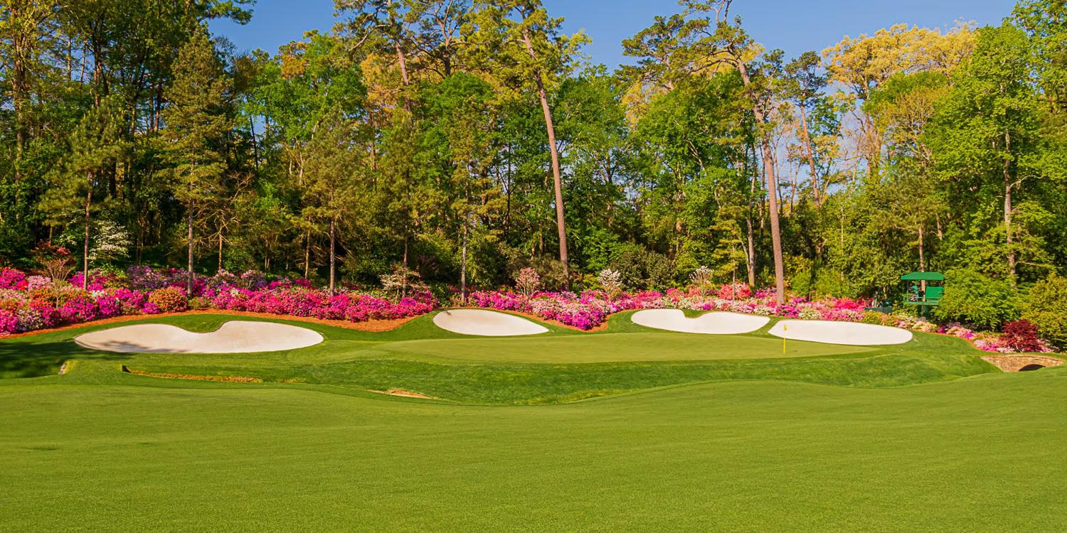 Masters 2019: Augusta National magic revealed again in a solitary palm tree  | Golf News and Tour Information | Golf Digest