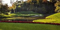 golf article