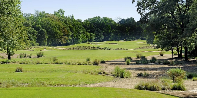 Pine Dunes