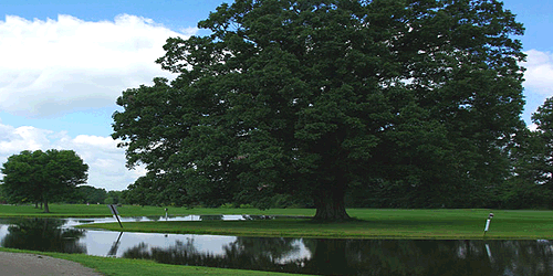 Brookside Golf Course