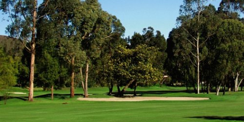 Shamrock Golf Club