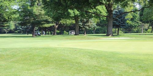 Shady Hollow Country Club
