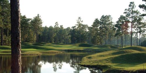 The Club at Pine Forest Golf Package