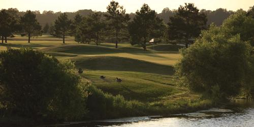 The Rookery Golf Club Golf Package