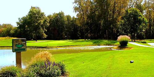 WGC Golf Course