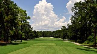 Wallace Adams Golf Course At Little Ocmulgee State Park